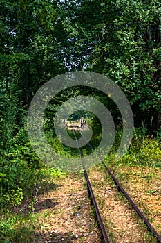 Old railway tracks in the forest with man on a bicycle